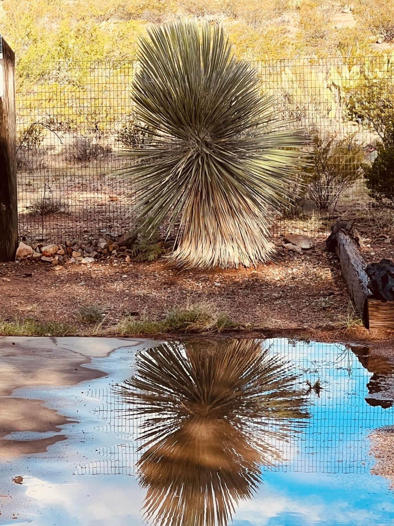 Hole In The Wall Getaway - Usa Mexico Border Bed And Breakfast Columbus Buitenkant foto