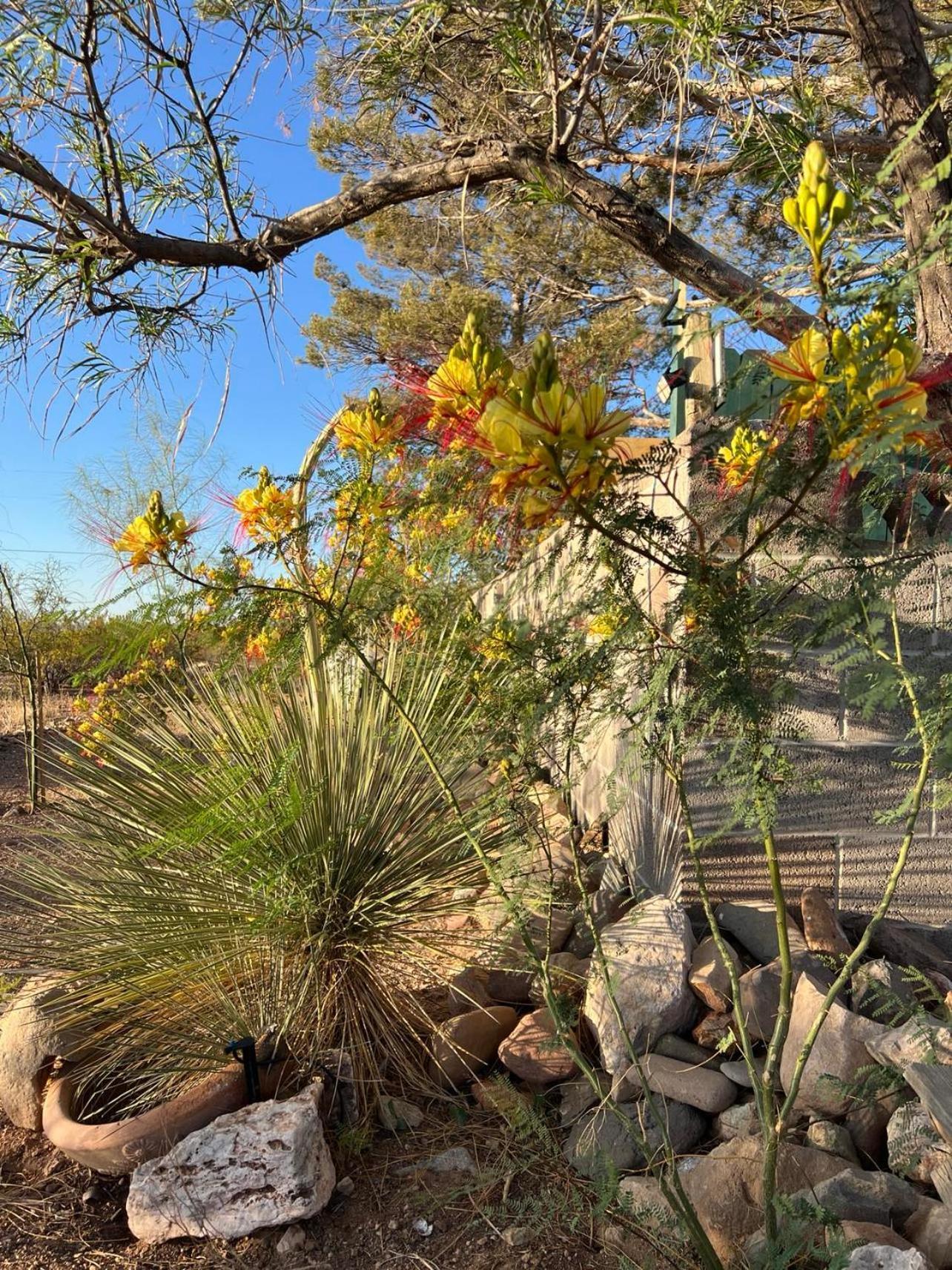 Hole In The Wall Getaway - Usa Mexico Border Bed And Breakfast Columbus Buitenkant foto